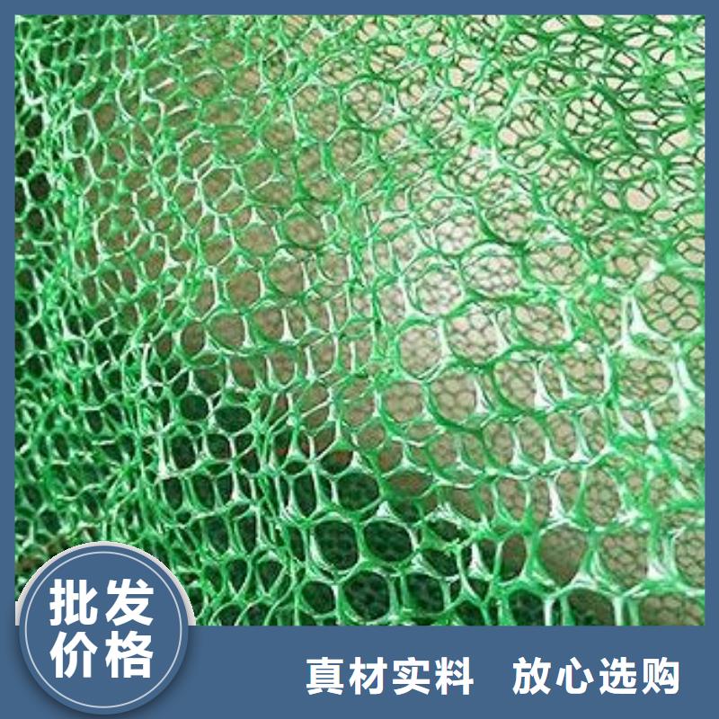 三维土工网垫价格