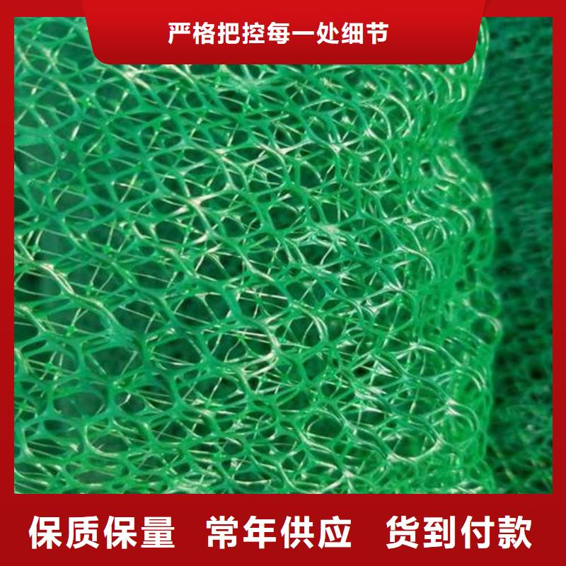 【三维植被网双向塑料土工格栅用心制作】