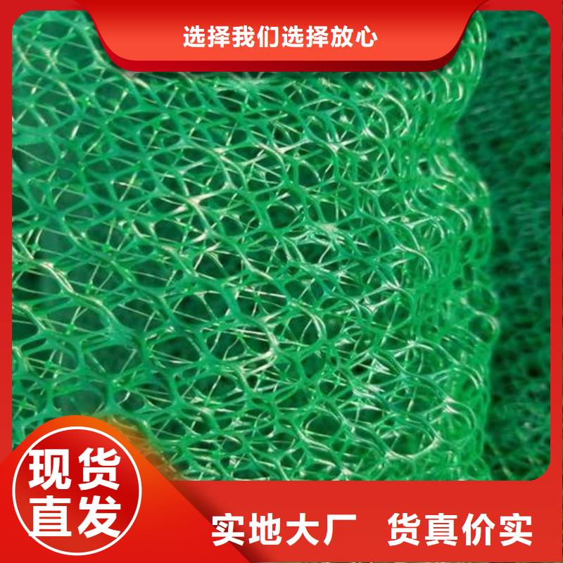 政工程边坡防护用三维植被网