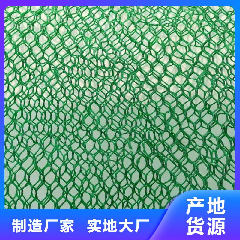 护坡植草三维网-三维植被网厂家走量批发
