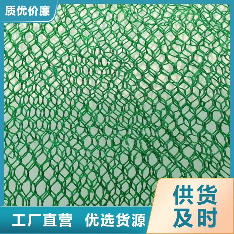 三维植被网双向拉伸土工格栅物流配货上门
