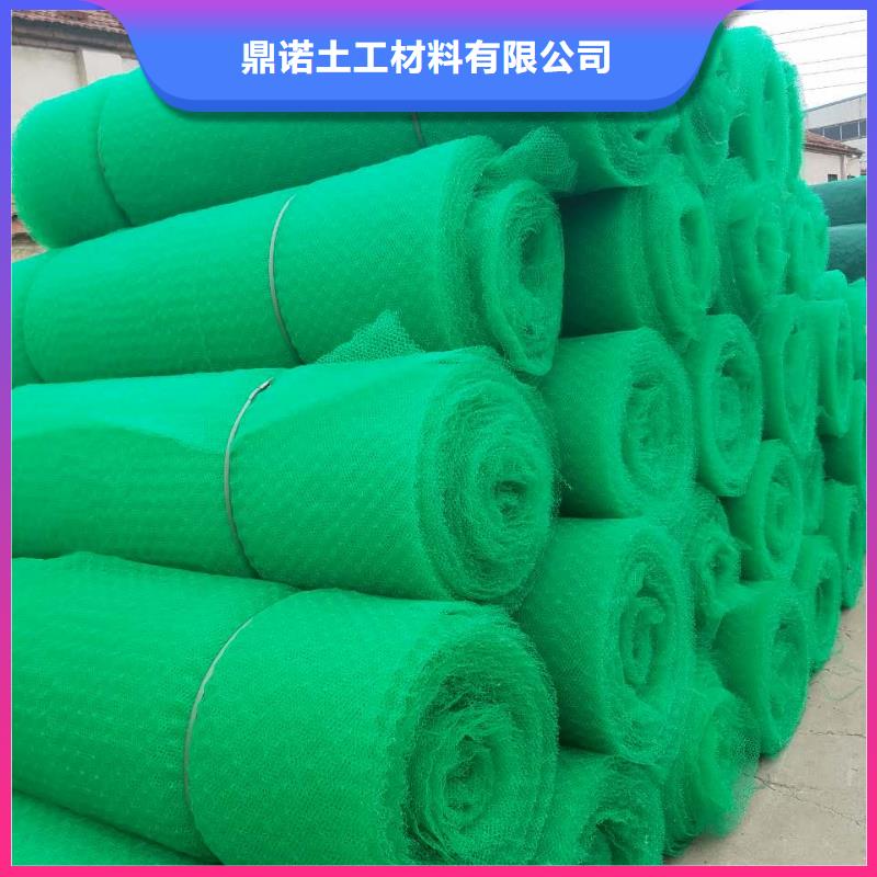 【三维植被网双向塑料土工格栅用心制作】