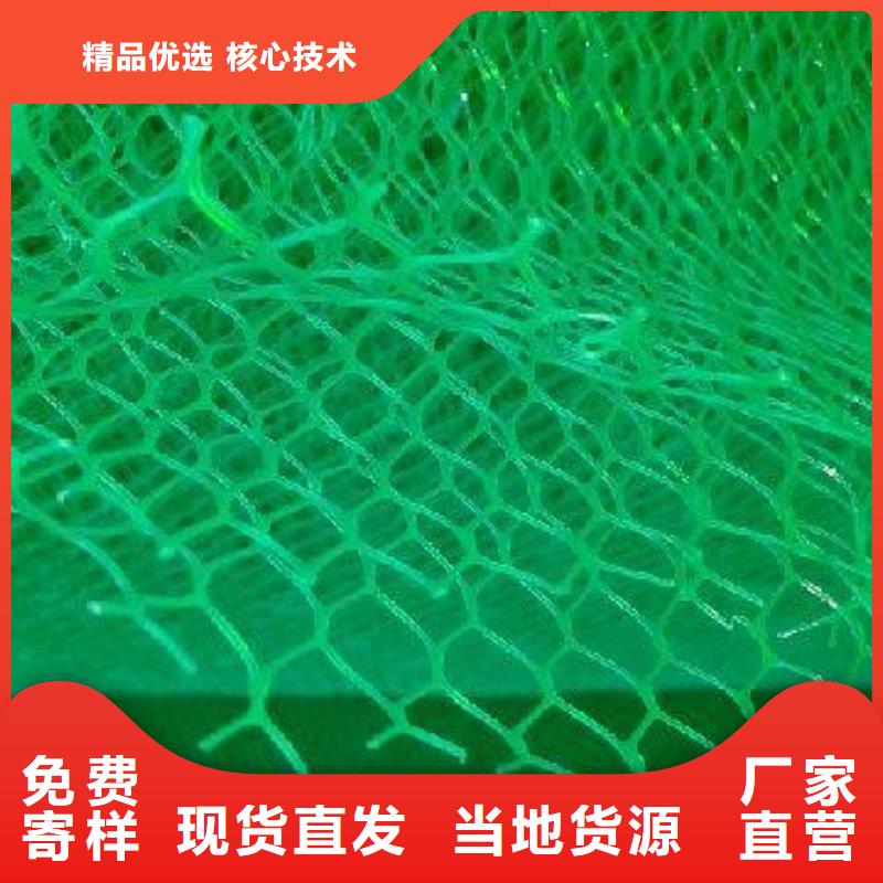 三维植被网厂家供应
