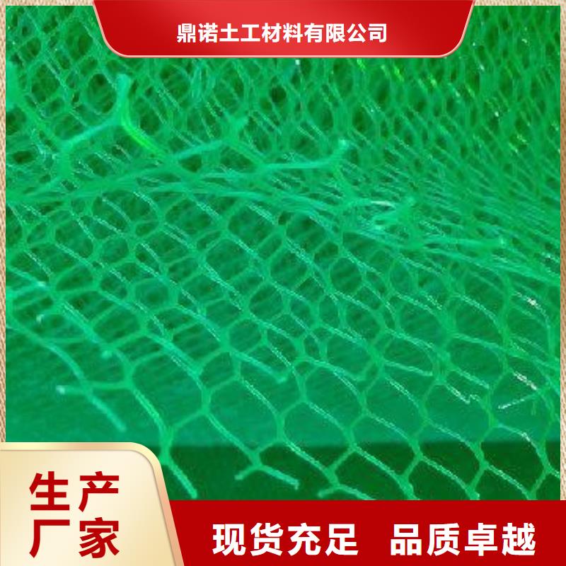 【三维植被网,膨润土防水垫厂家直营】