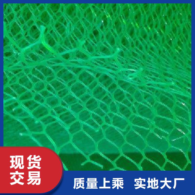 政工程边坡防护用三维植被网