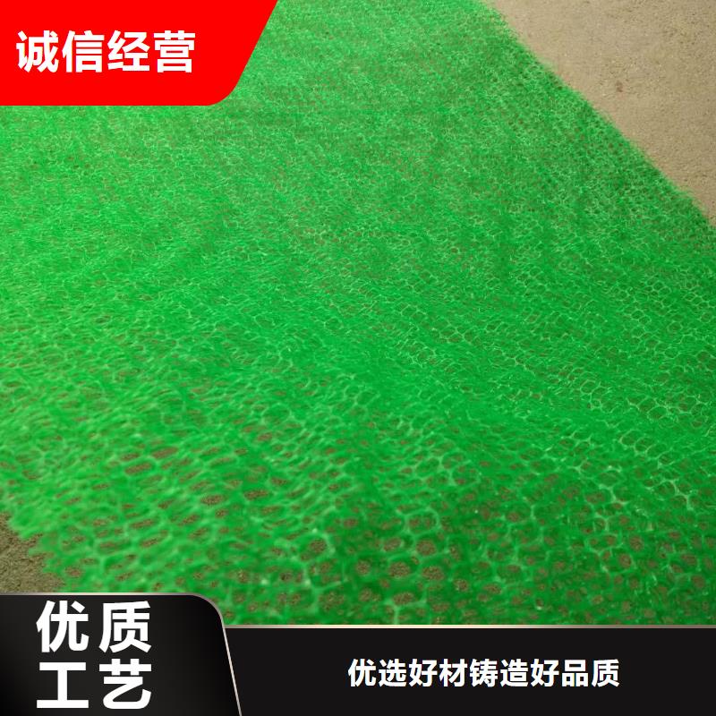 河道护坡三维植被网厂家供应