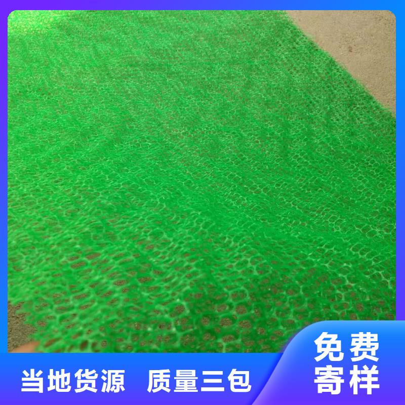 em4三维植被网植草护坡固土