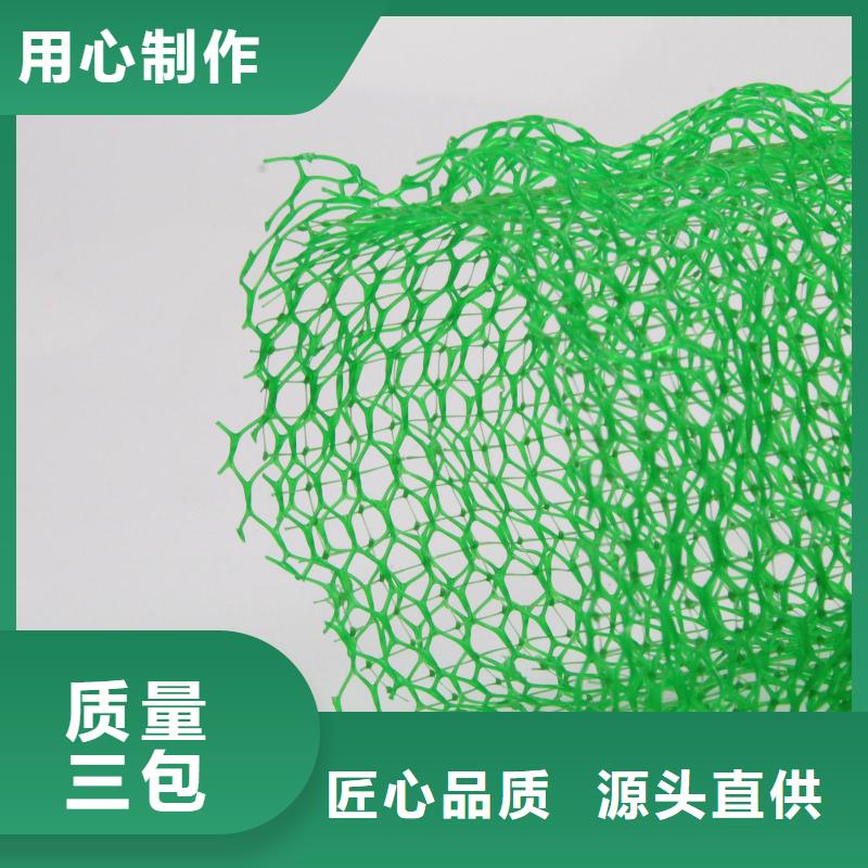 喷播植草护坡三维网
