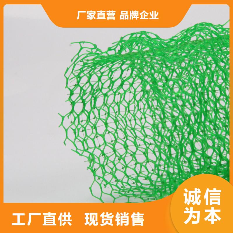白沙县护坡植草三维网-三维植被网厂家走量批发