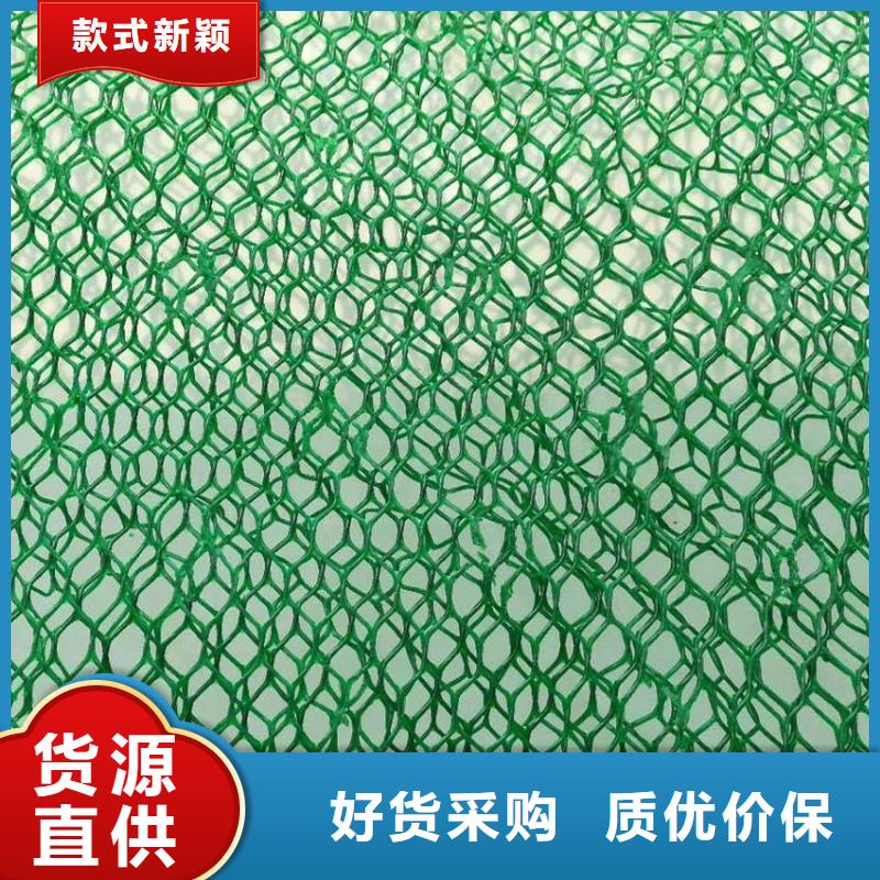 三维土工网垫价格