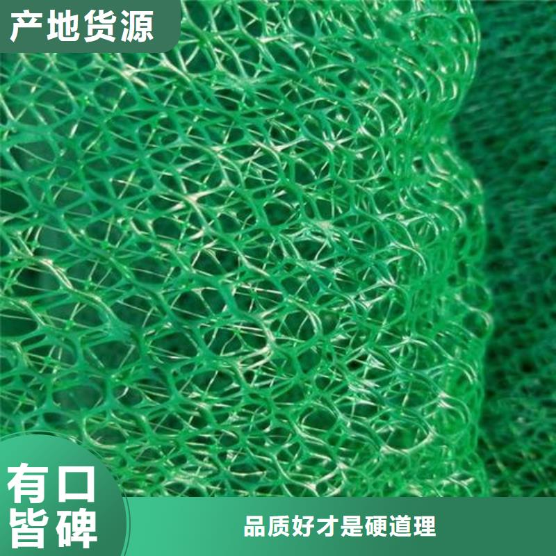 植草护坡绿化三维植被网垫em4三维网