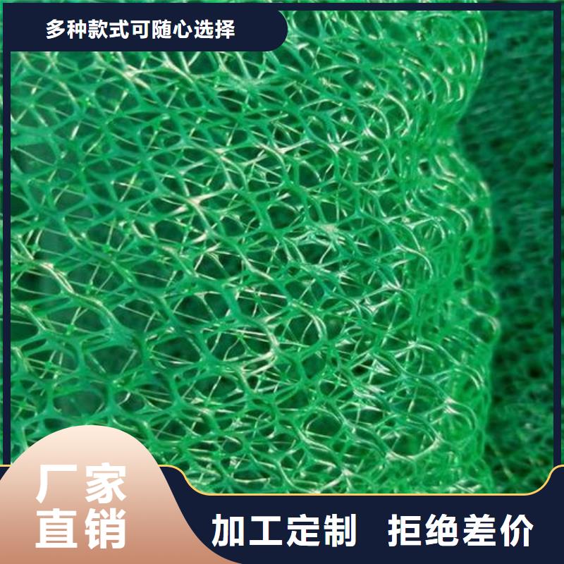 三维土工网垫EM2EM3三维植被网