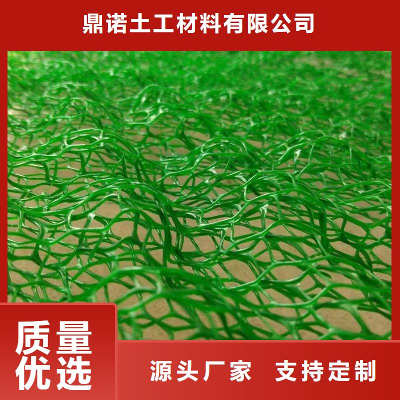 【三维植被网双向塑料土工格栅实力大厂家】