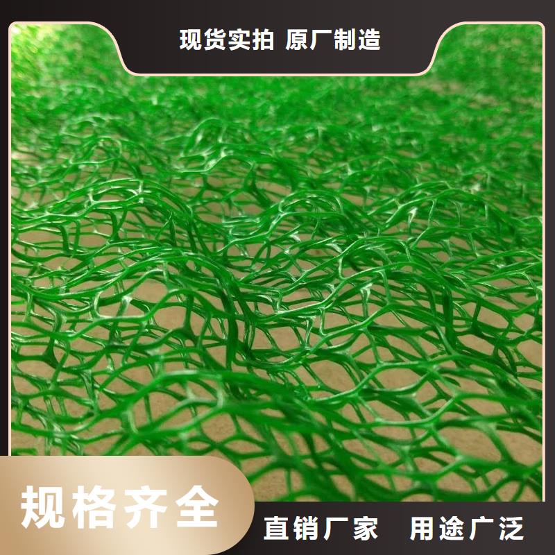 三维土工网垫厂家销售