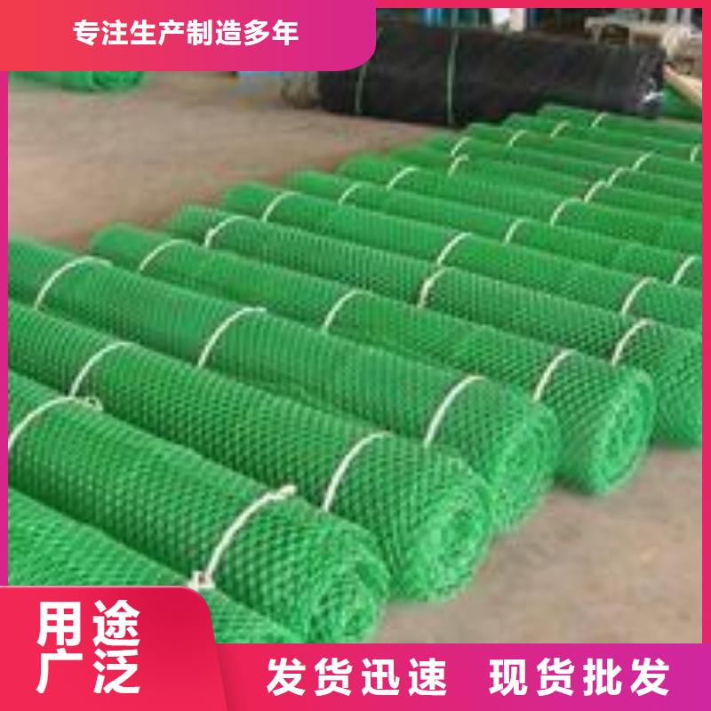 【三维植被网,膨润土防水垫厂家直营】