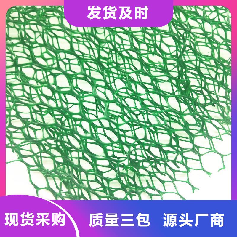 【三维植被网细节决定品质】