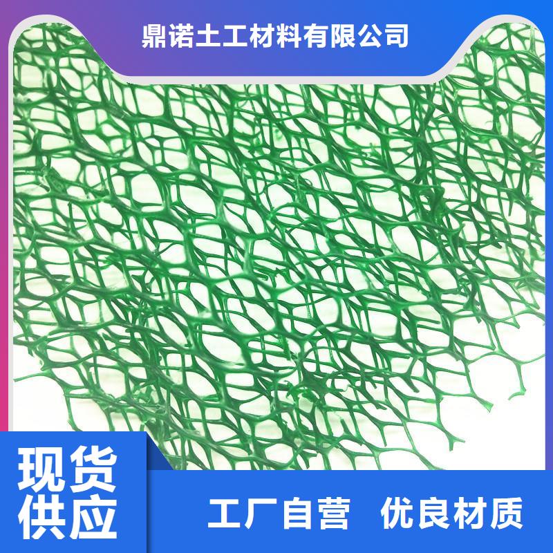 河道护坡三维植被网厂家供应