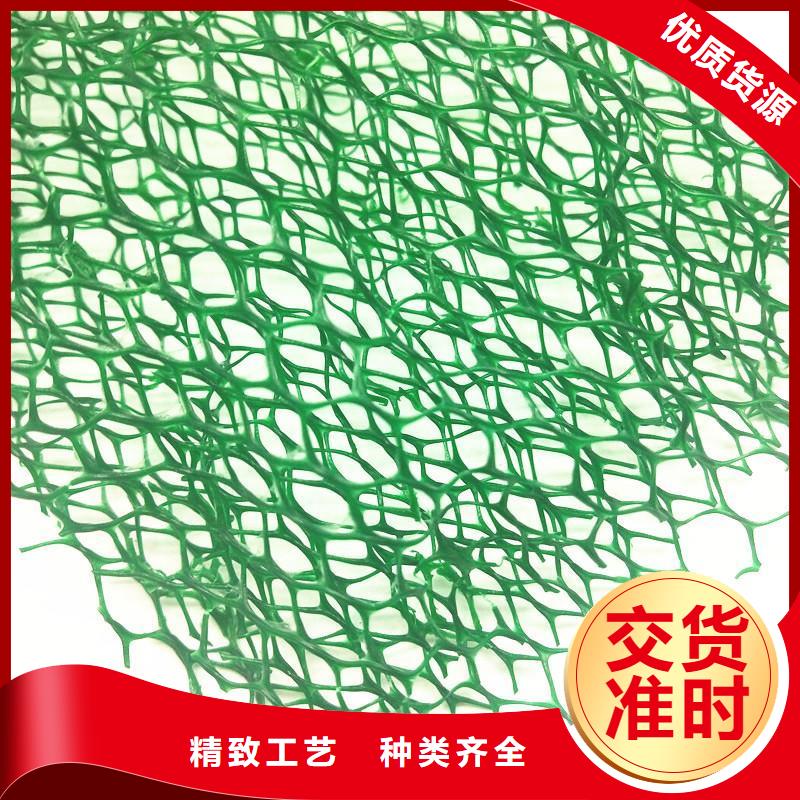 屯昌县三维植被网加筋土工网垫EM4型植被网护坡加筋