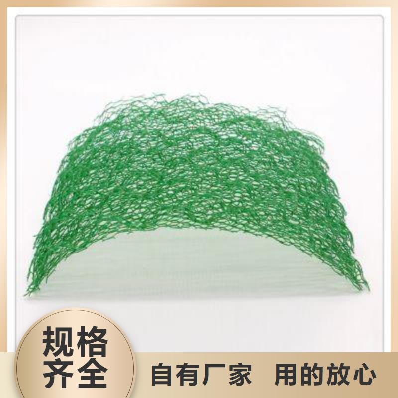 三维植被网双向拉伸土工格栅物流配货上门