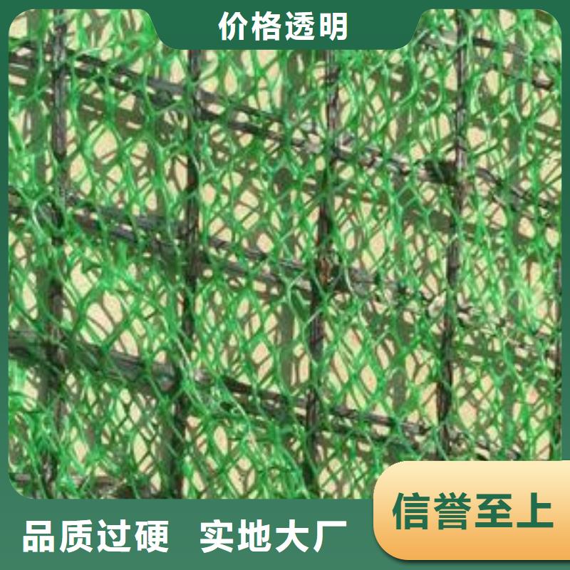 白沙县护坡植草三维网-三维植被网厂家走量批发