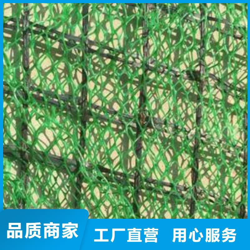 EM3EM4EM5三维植被网价格