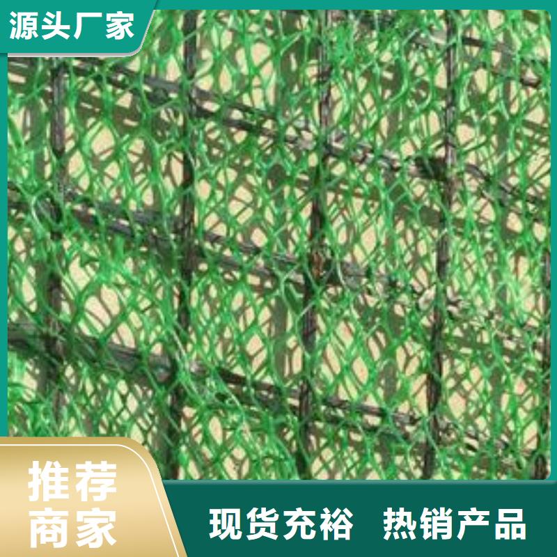 三维土工网垫价格