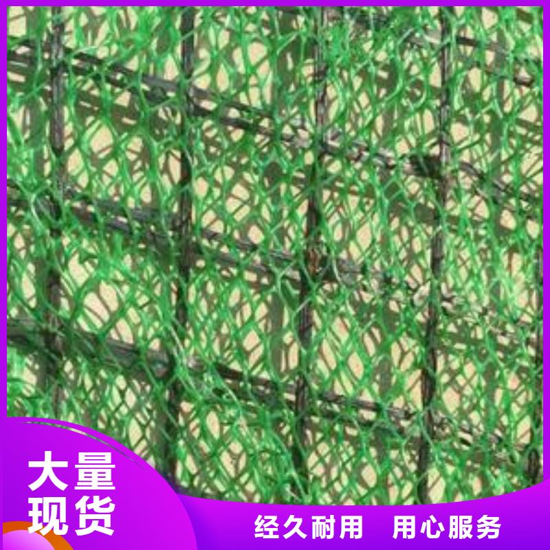 喷播植草护坡三维网