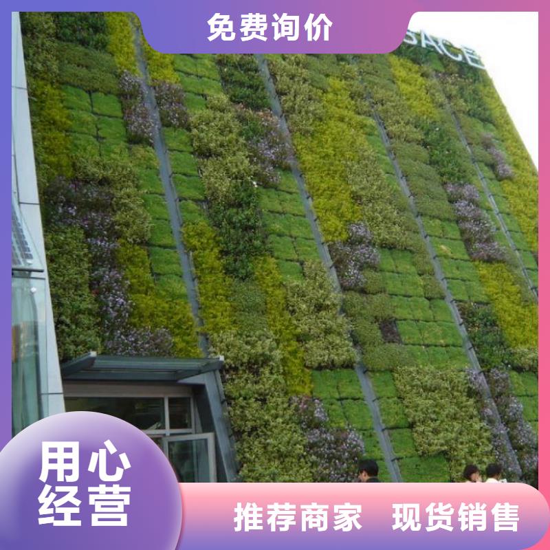 三维植被网em4型价格