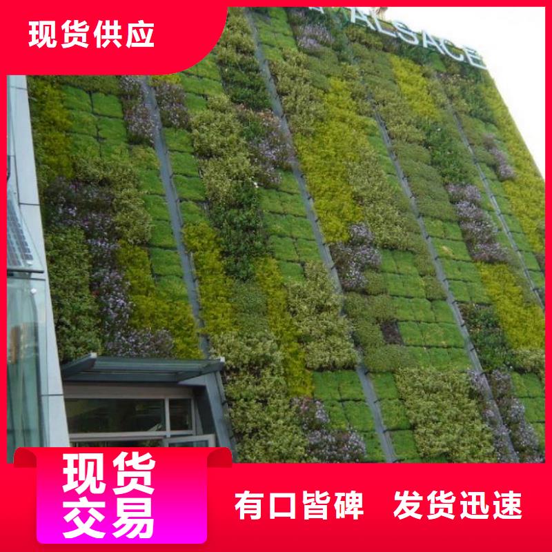 【三维植被网软式透水管丰富的行业经验】