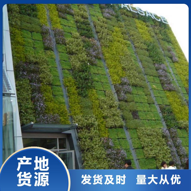【三维植被网细节决定品质】