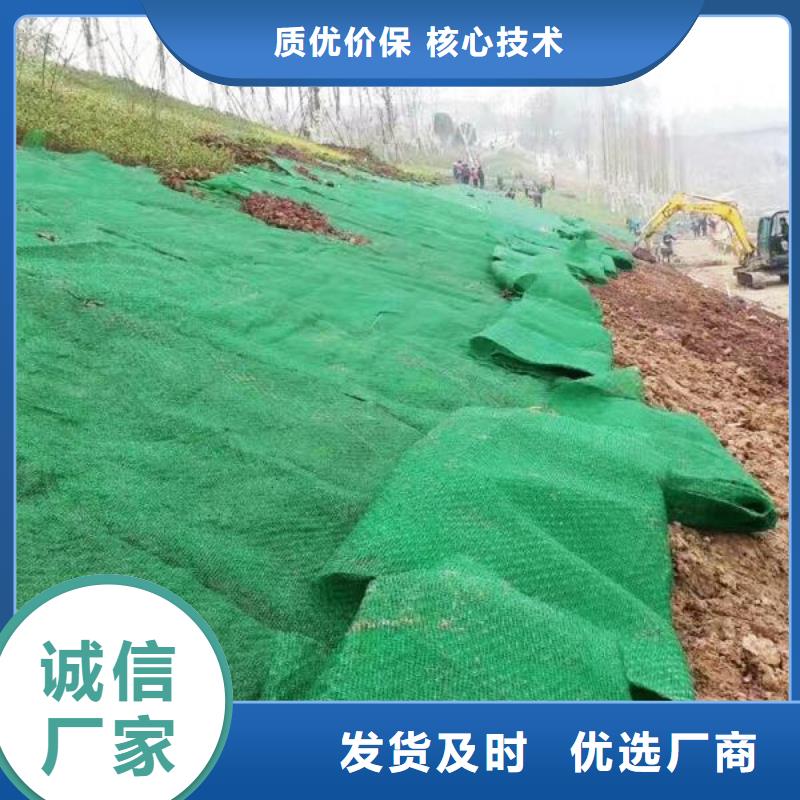 全新料三维植被网厂家直供定制全新料