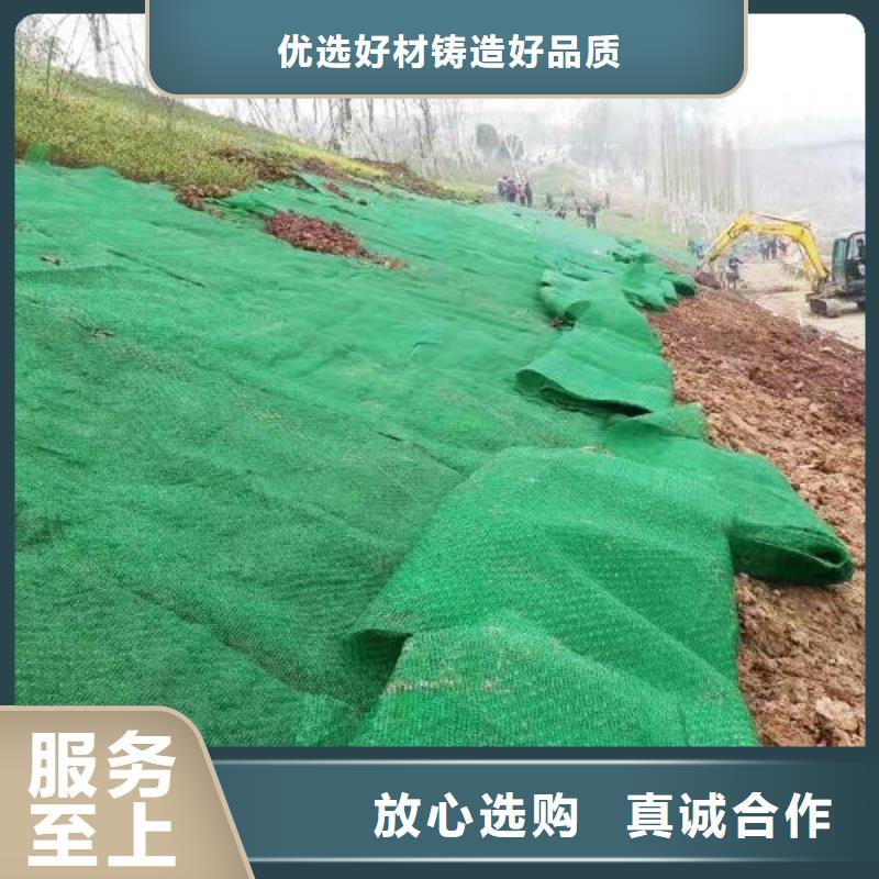 批发植草护坡三维土工网垫