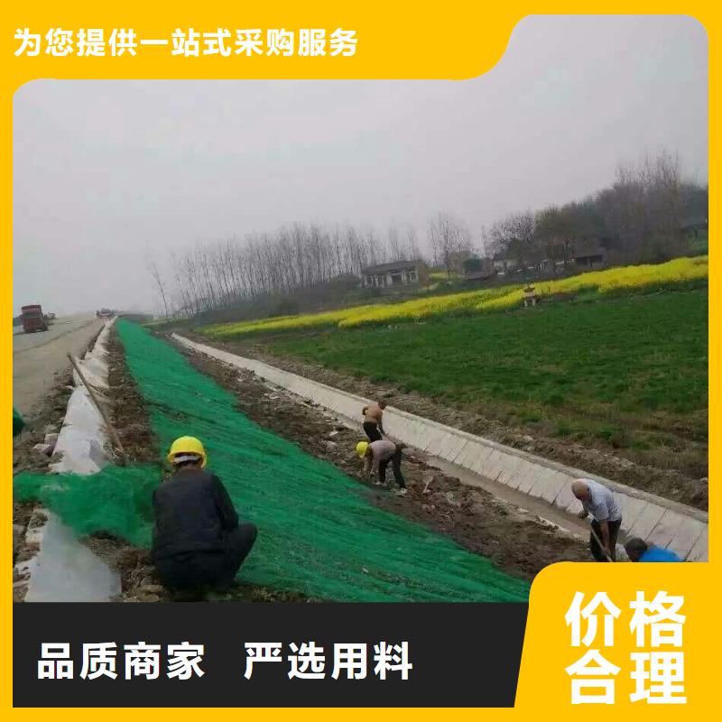 【三维植被网双向塑料土工格栅用心制作】