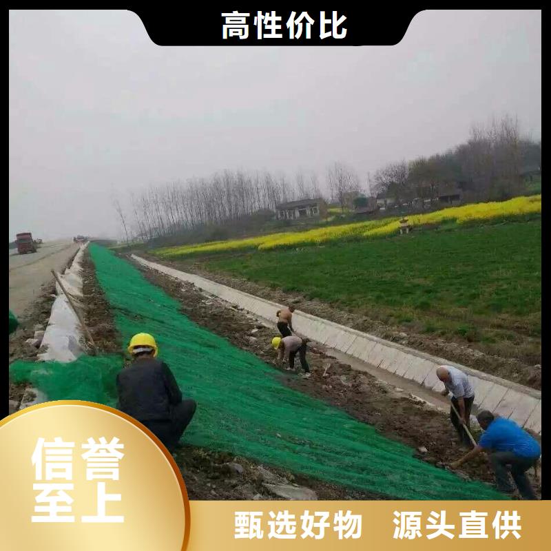政工程边坡防护用三维植被网