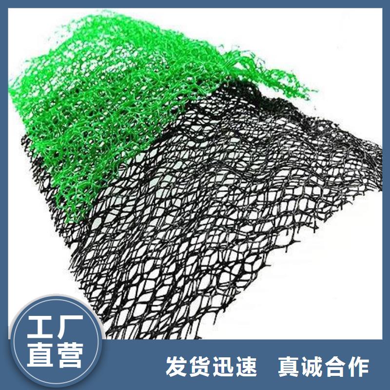 厚度16mm三维植被网植草护坡网