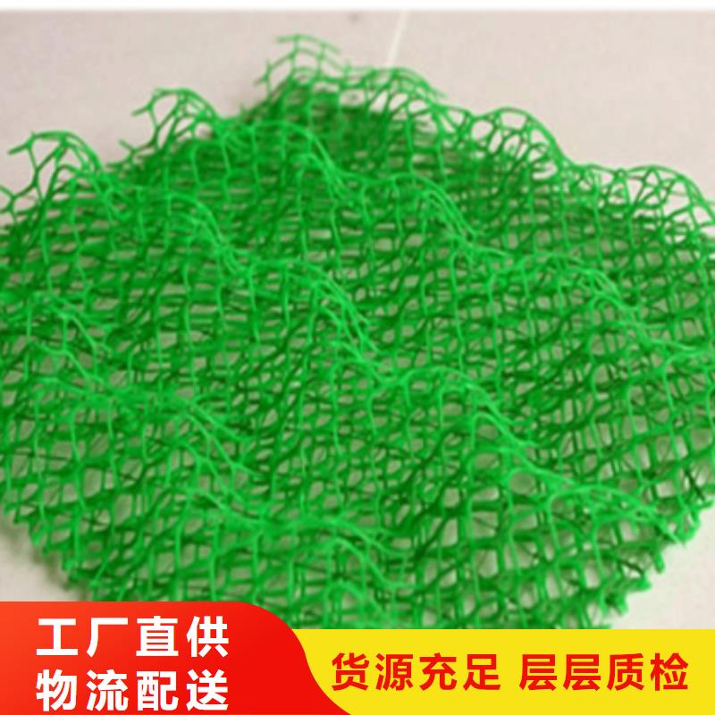 三维植被网厂家植被网看厂家