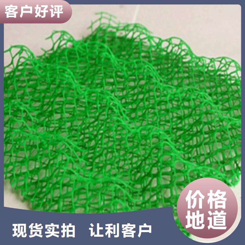 em3三维植被网抗侵蚀耐老化