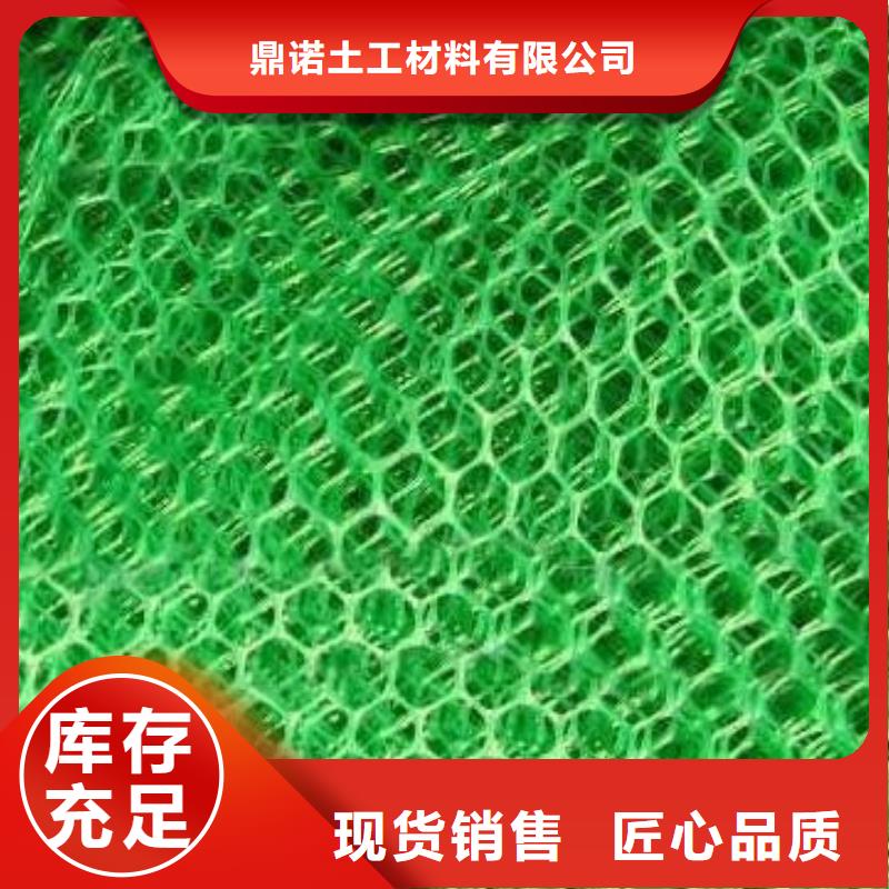 三维土工网垫厂家销售