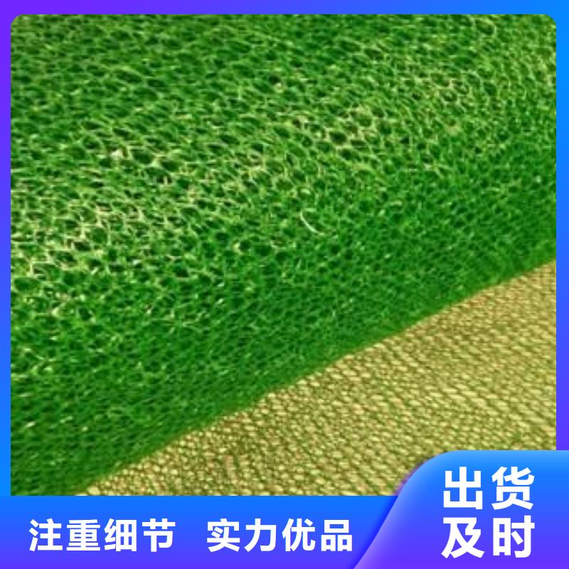 植草护坡绿化三维植被网垫em4三维网