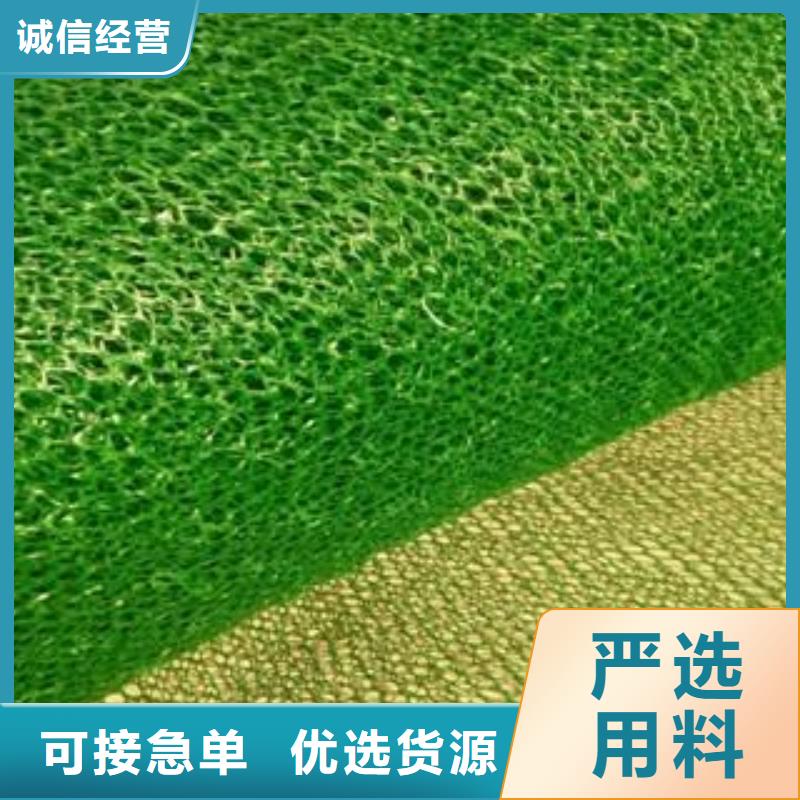 批发植草护坡三维土工网垫