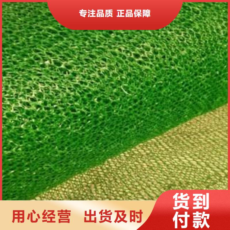 全新料三维植被网厂家直供定制全新料