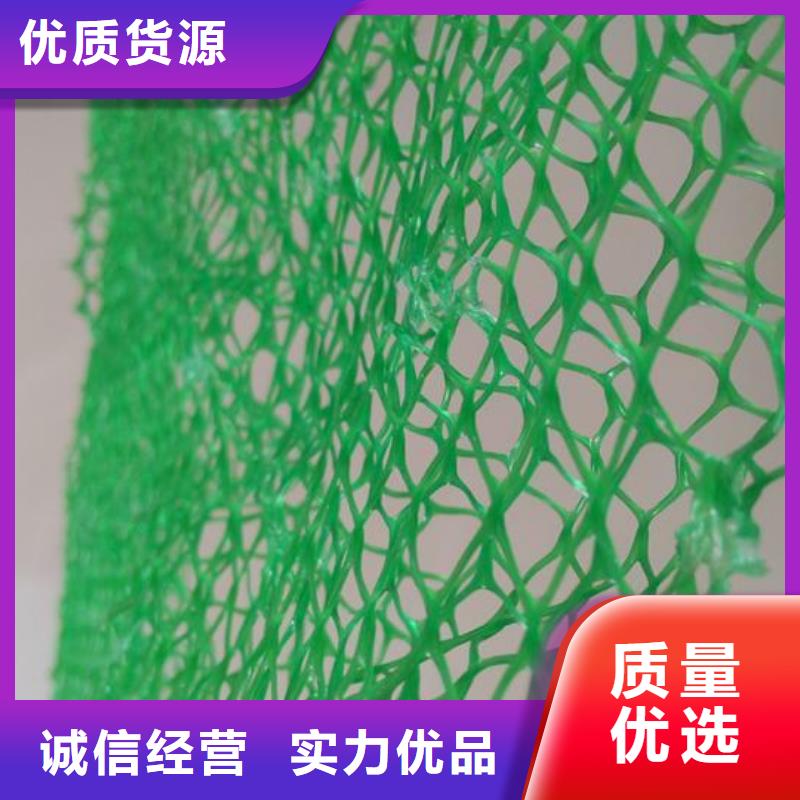 三维土工网垫价格