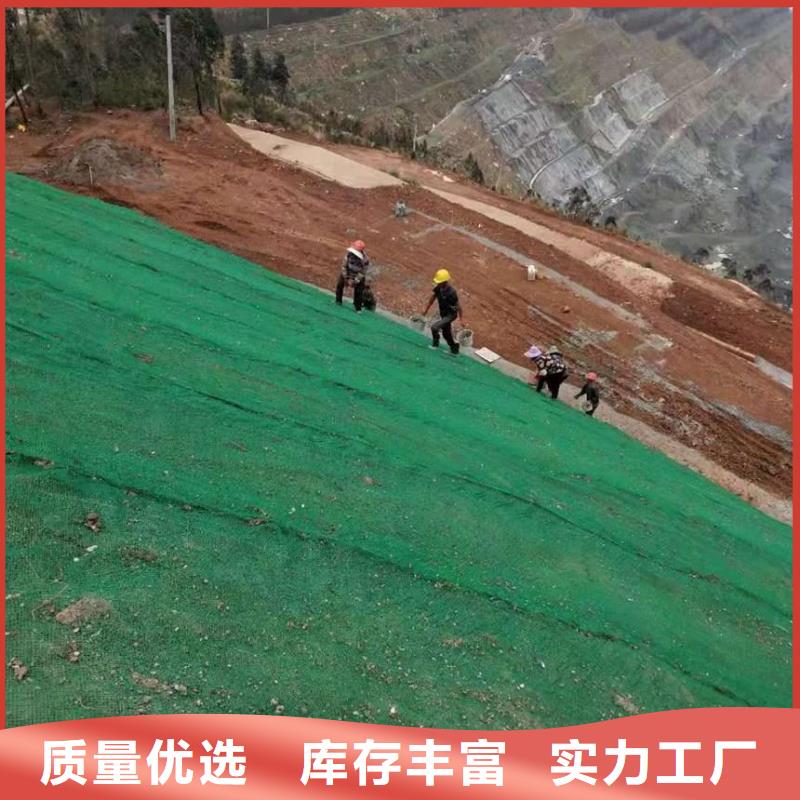 河道护坡三维植被网厂家供应