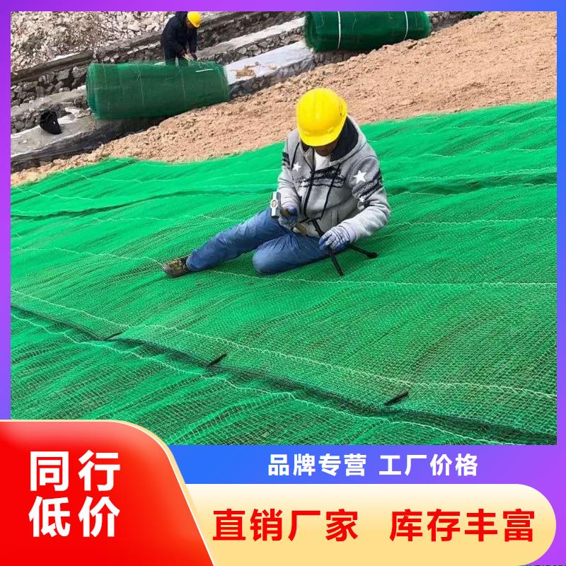 全新料三维植被网厂家直供定制全新料