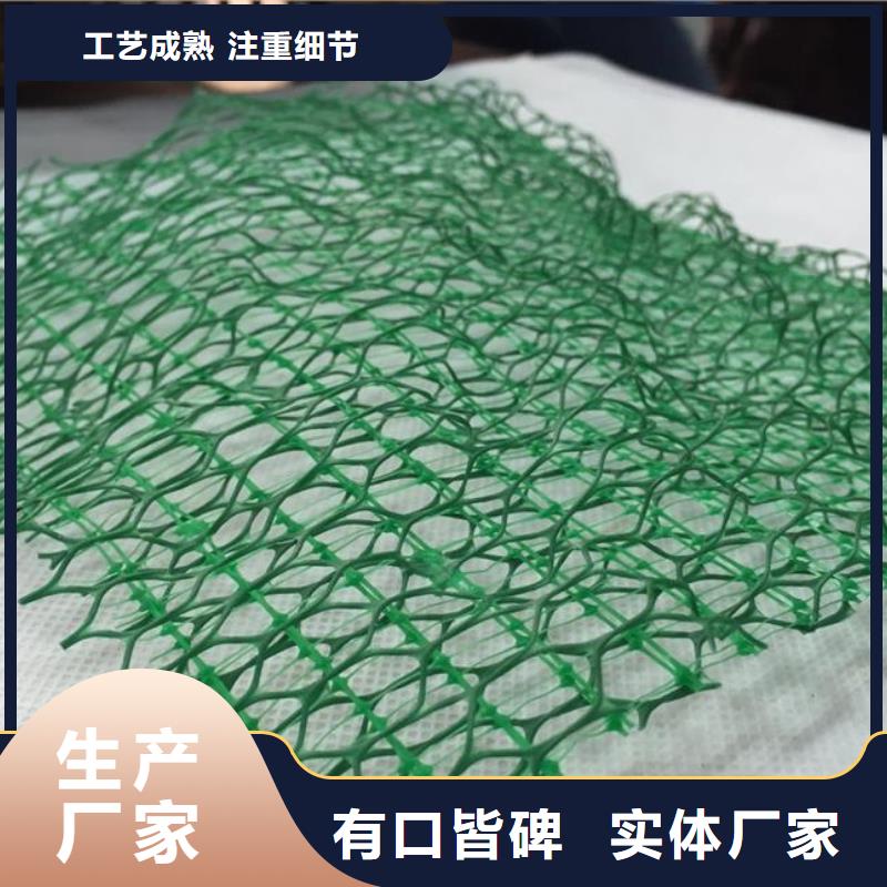 三维植被网-单向塑料土工格栅供您所需