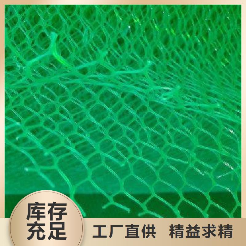 em3三维植被网抗侵蚀耐老化