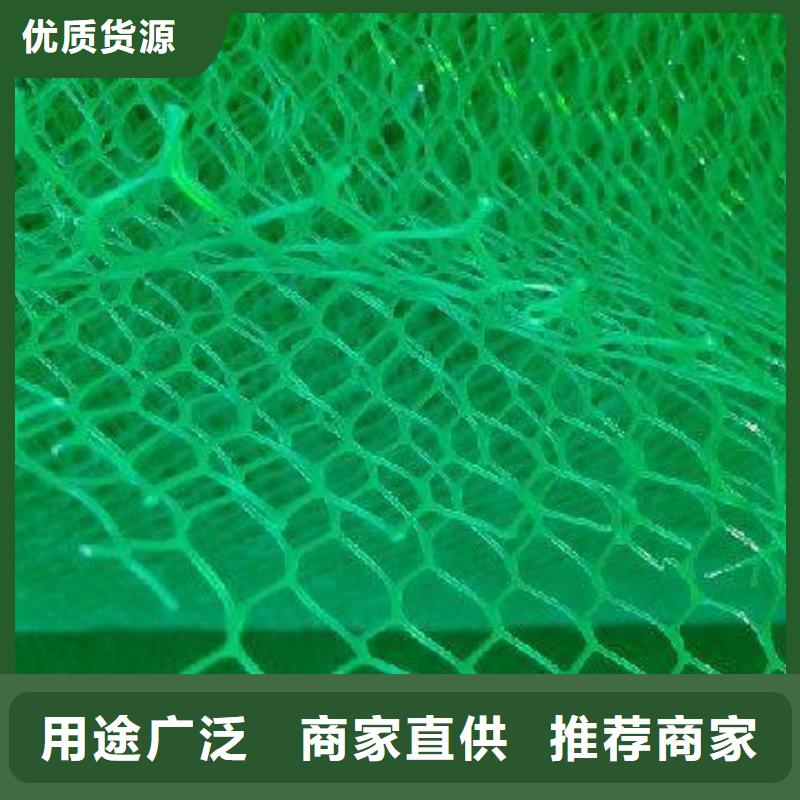 喷播植草护坡三维网