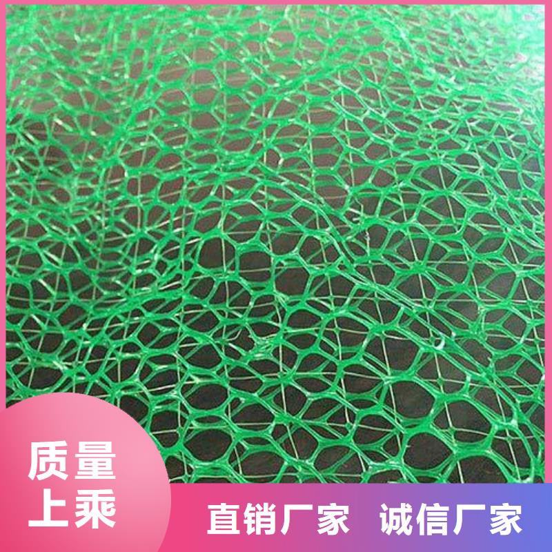 em3三维植被网抗侵蚀耐老化