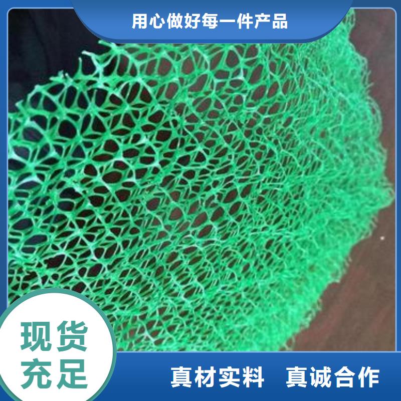 em3三维植被网抗侵蚀耐老化