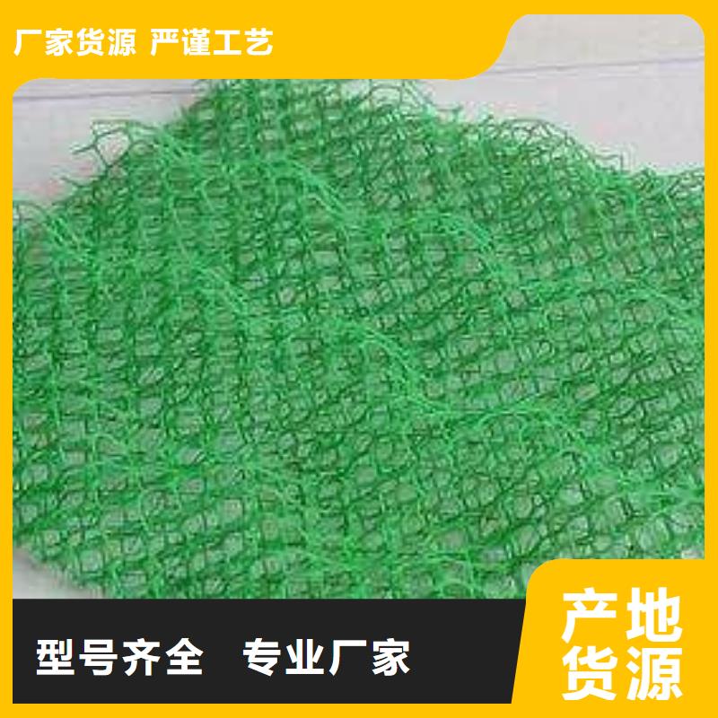 三维土工网垫价格
